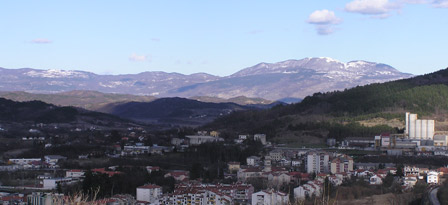 P3110001.jpg