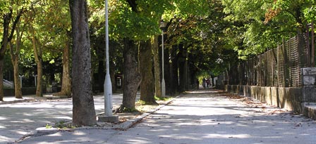 P8310079.jpg