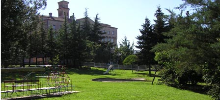 P8310089.jpg