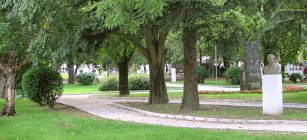 P9010095.jpg