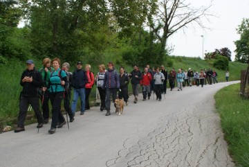 Međunarodni dan pješačenja